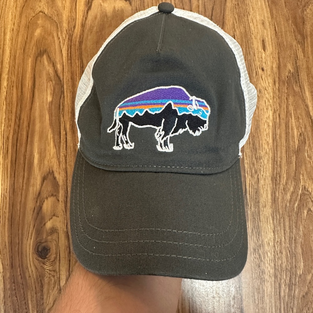 Patagonia Gray Trucker Hat with Buffalo Patch